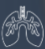 TB Lung