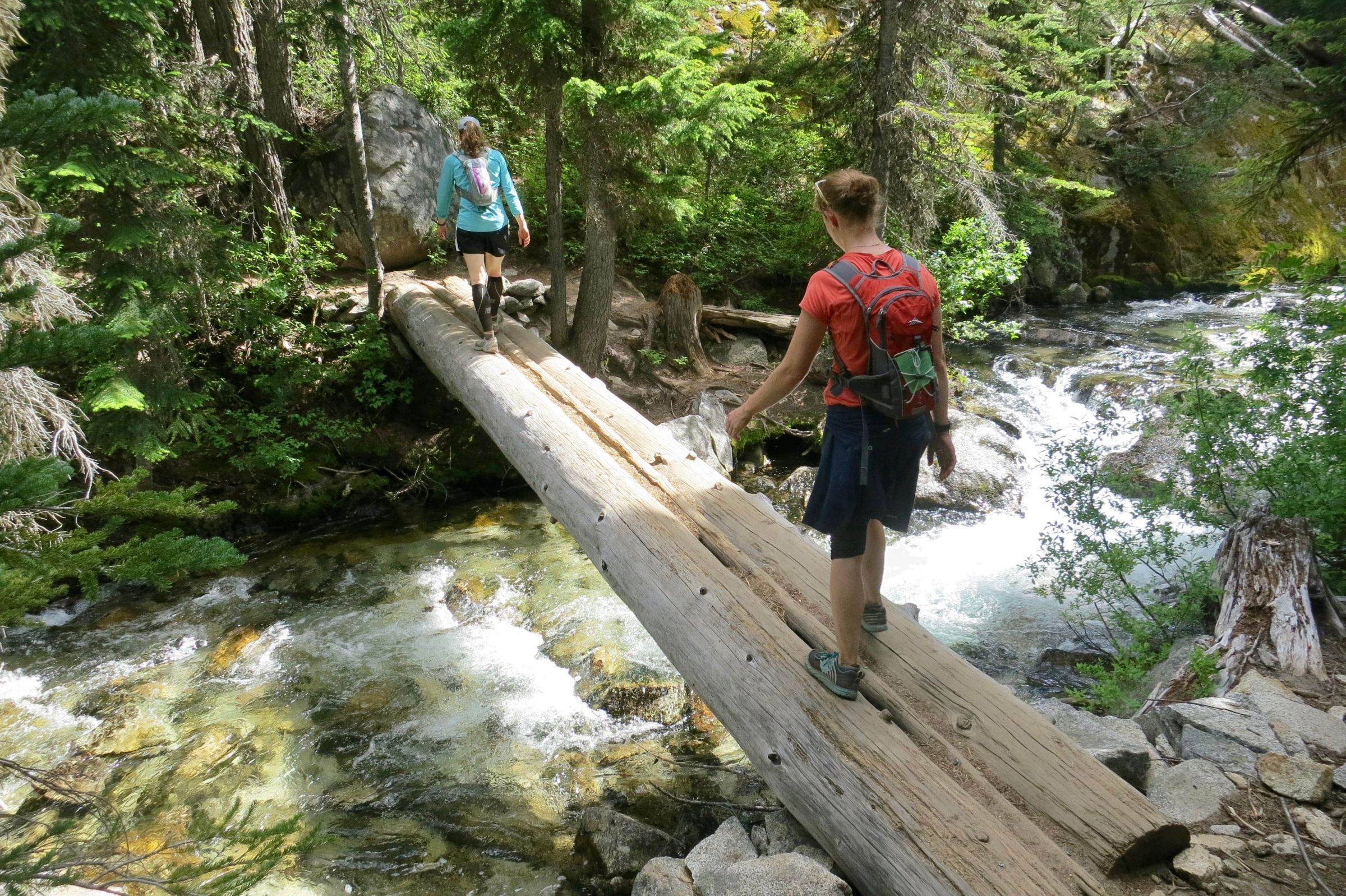 Walking on log